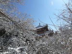 雪