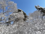 雪景