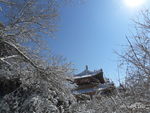 雪后
