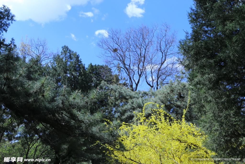 颐和园风景