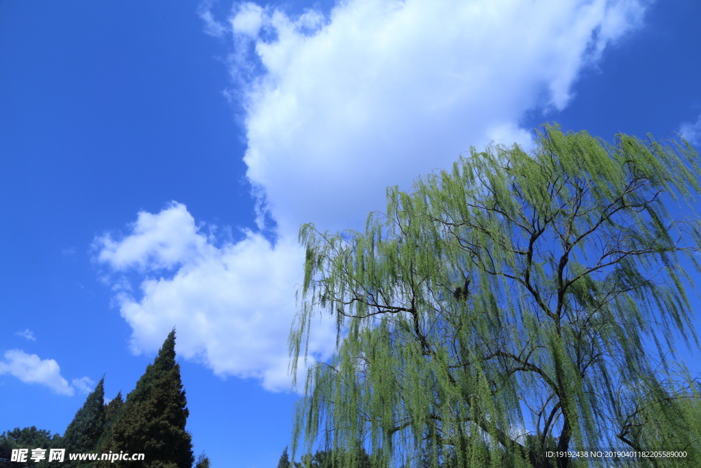 颐和园风景