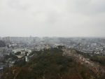 仁寿全景