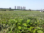 青龙湖