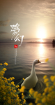 风景海报