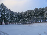 松岭雪村
