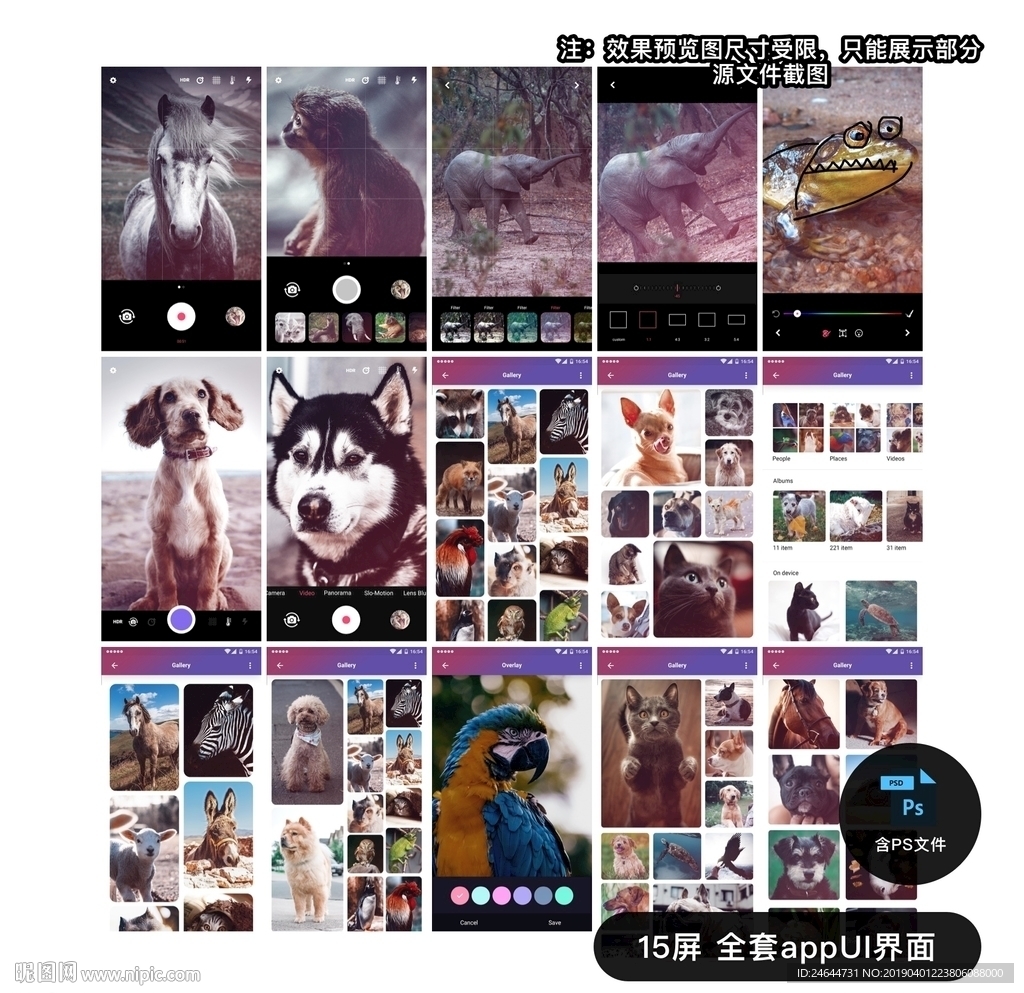 相机相册页面