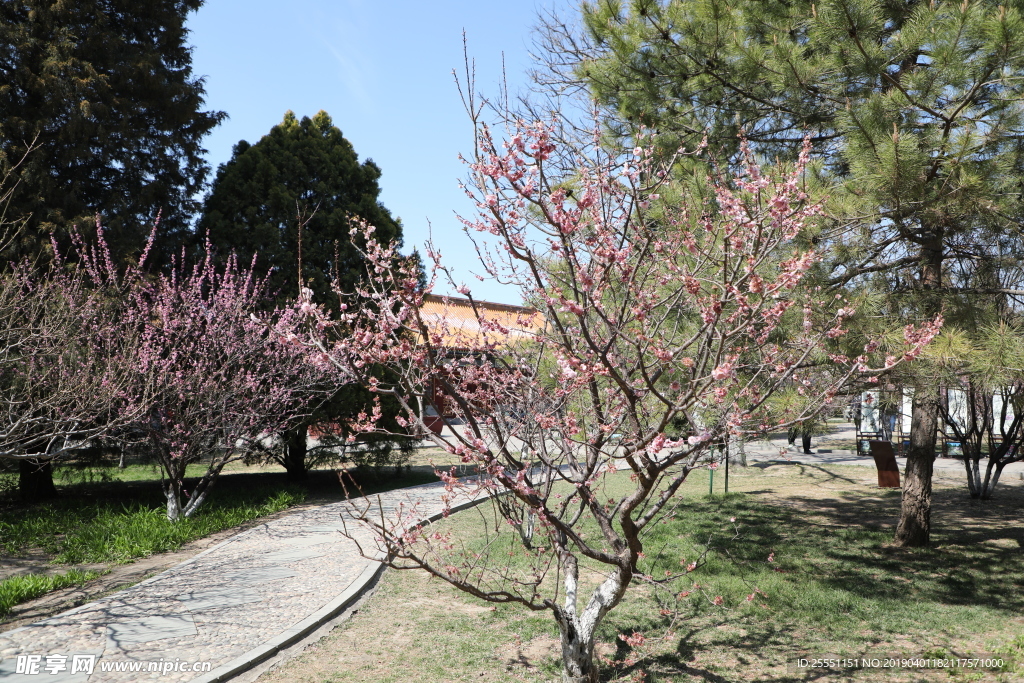 中山公园