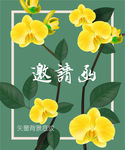 漂亮鲜花封面邀请函画册图片