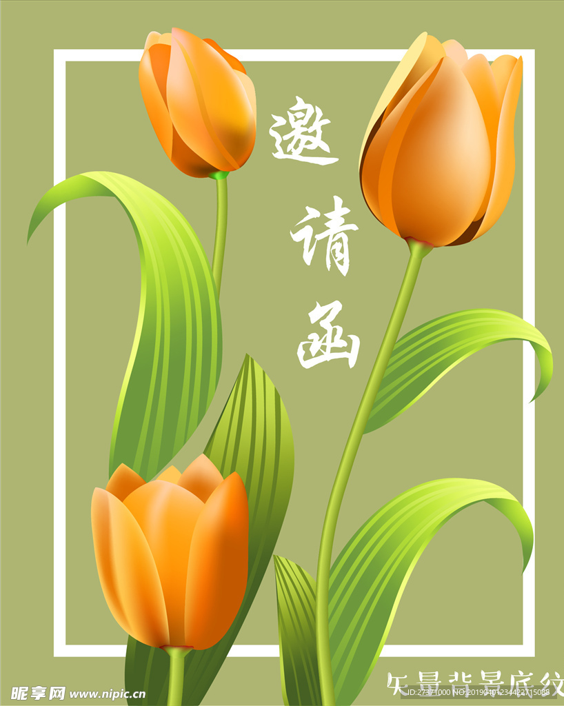 杏色花朵封面背景图片