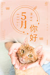 五月你好
