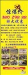 教育培训早教展架海报