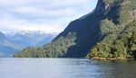 新西兰南岛米佛峡湾风景