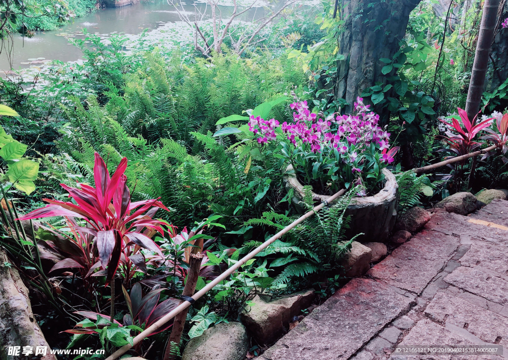 花卉