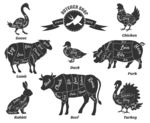 结构图 羊肉 鸭肉 鸡肉 牛肉