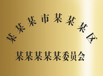 钛金牌效果图