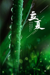 立夏