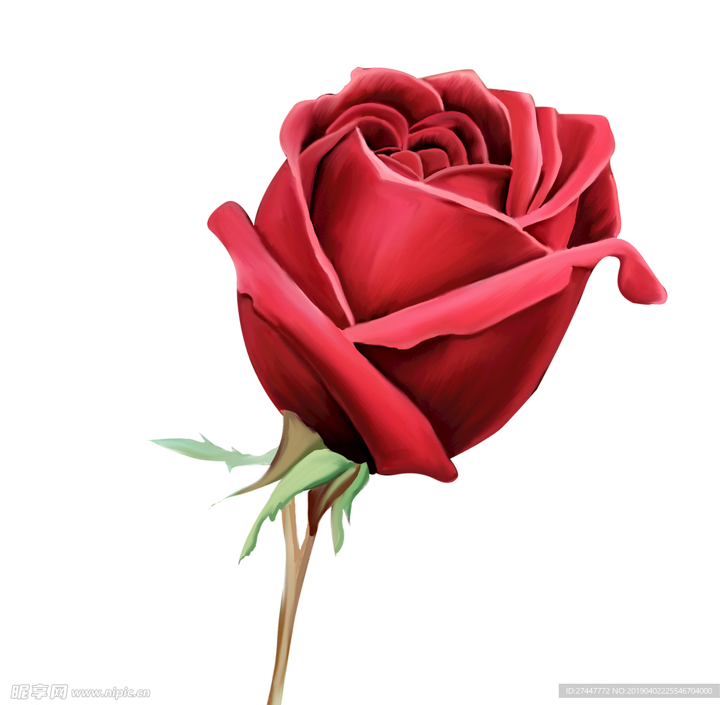 玫瑰花