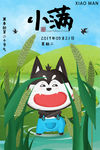 小满
