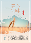 芒种