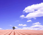 天空