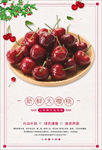新鲜樱桃
