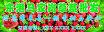 草莓