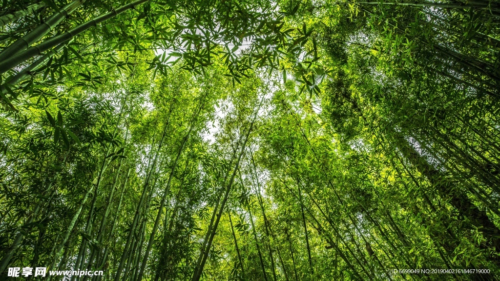 风景壁纸图片