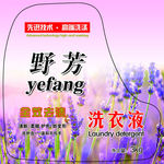 洗衣液正面