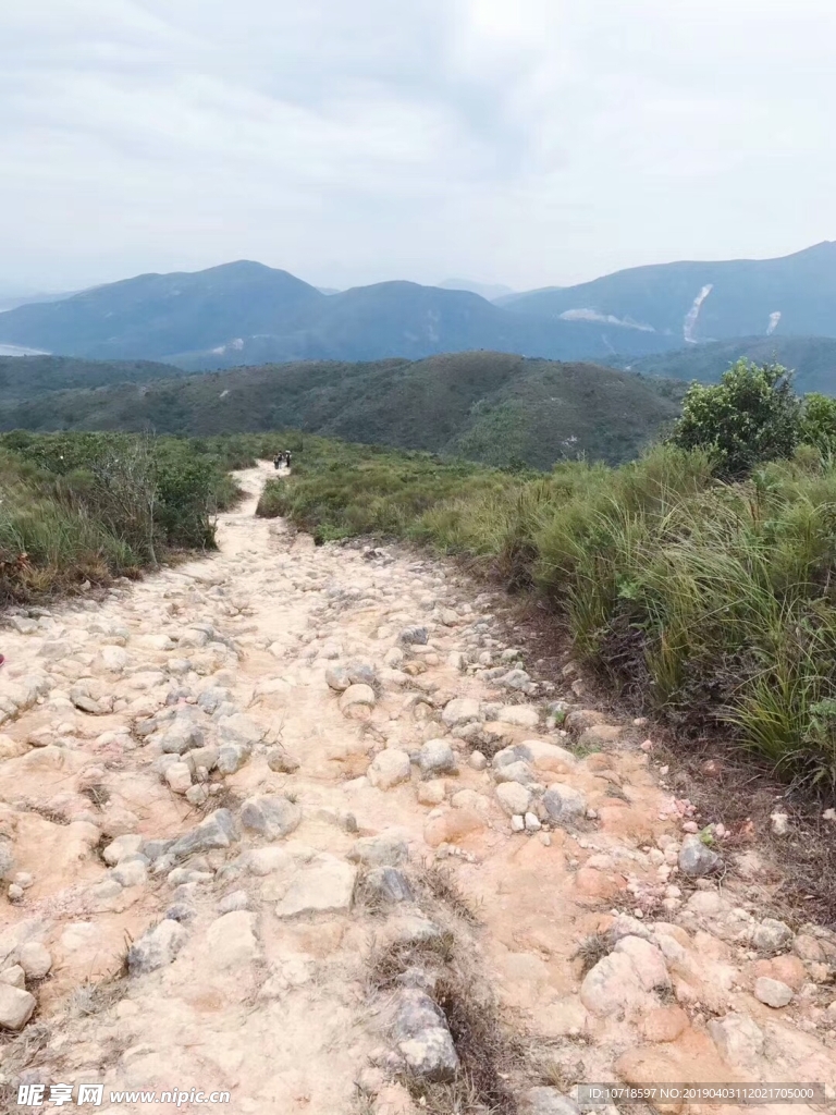 户外风景