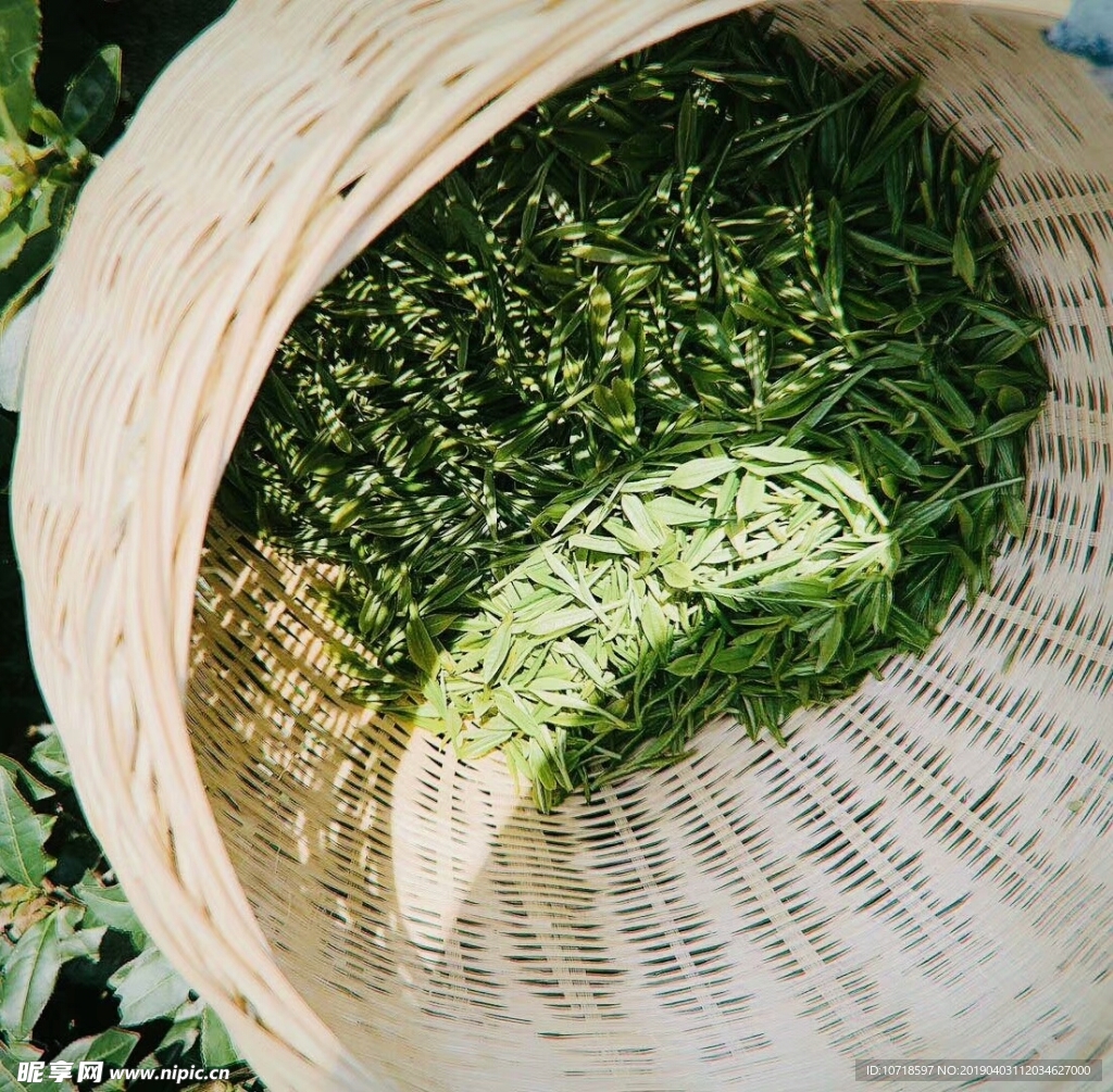 茶叶