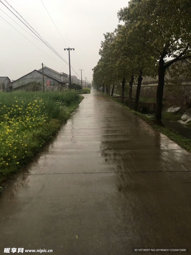 户外风景