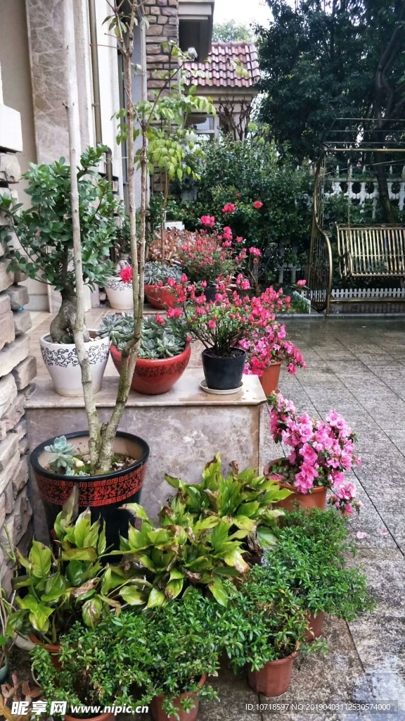 花草树木