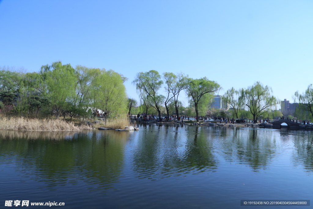 玉渊潭美景