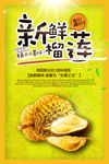 榴莲海报