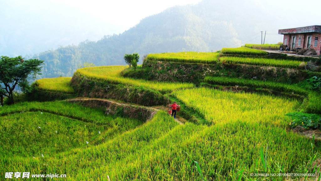 山乡风景