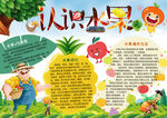 水果小报