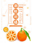 柑橘海报