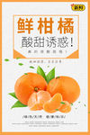 鲜柑橘海报