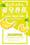 香蕉海报