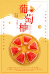 葡萄柚海报