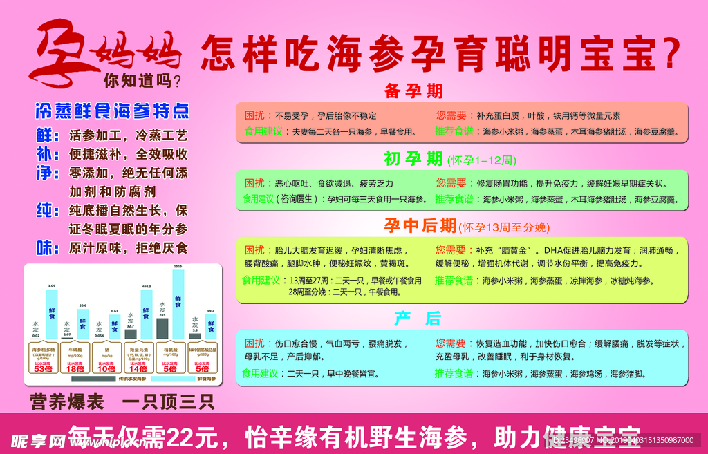 海参宣传单页