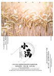 小满