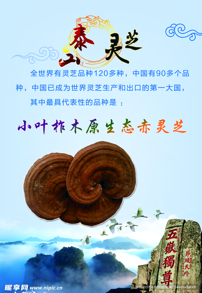 灵芝