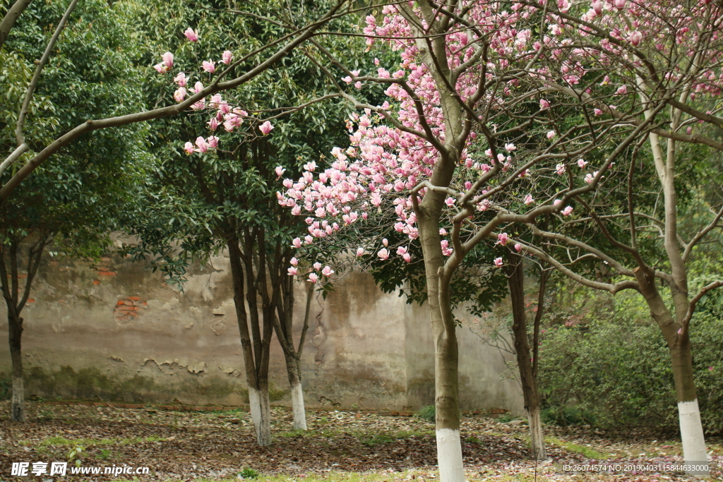 风景 美景