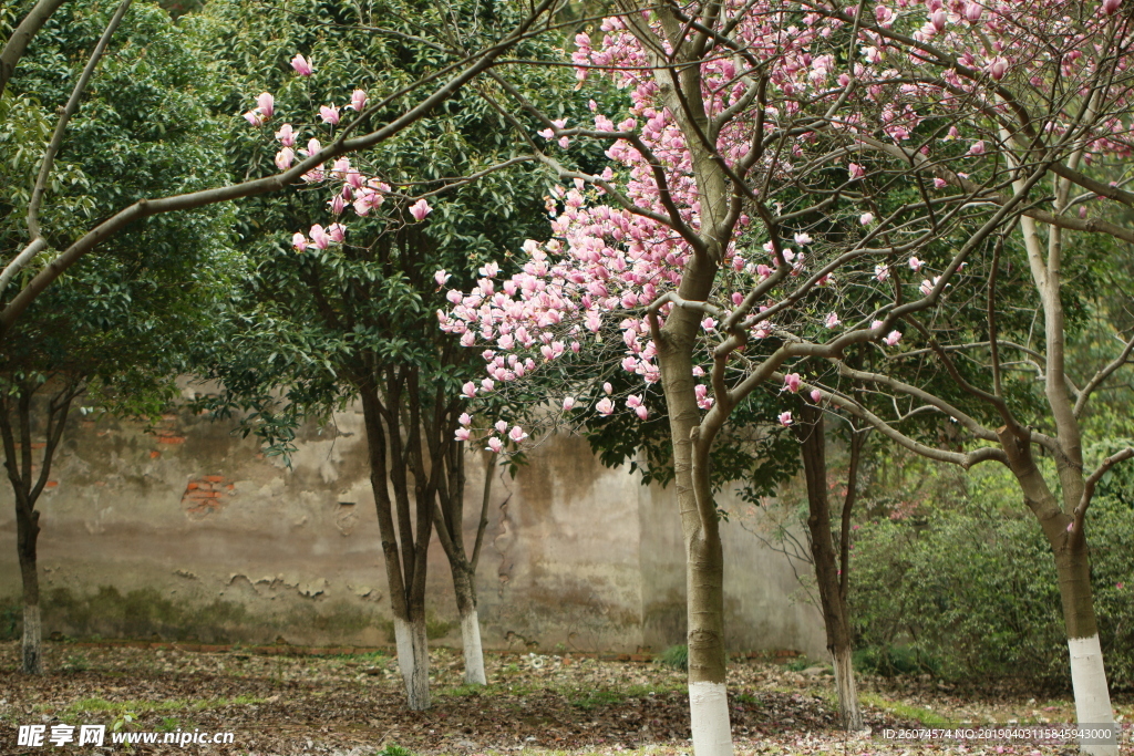 风景 美景