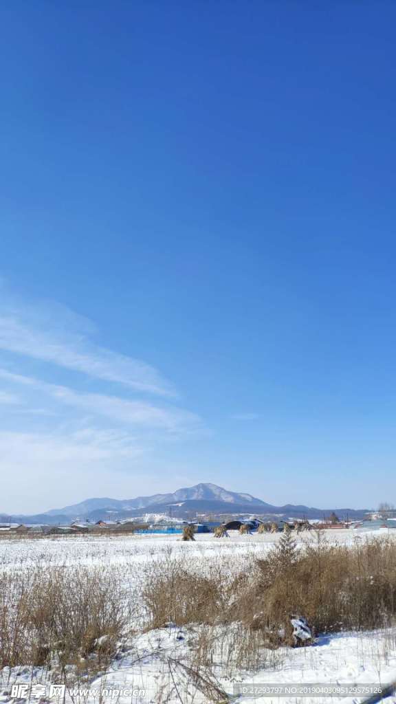 鸭园雪景