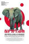 保护野生动物