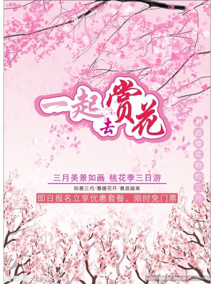 一起赏花