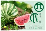 西瓜海报素材