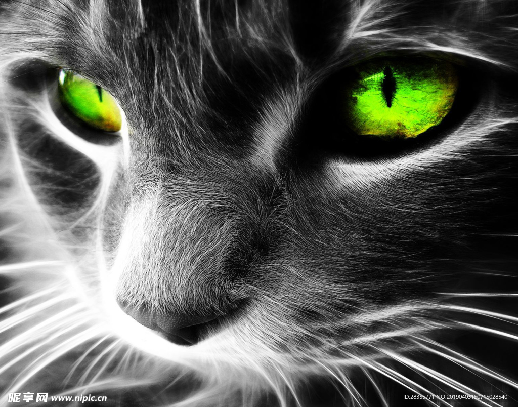 科幻发光猫